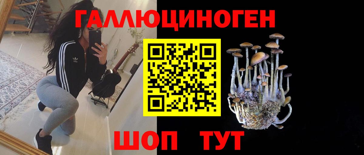Псилоцибиновые грибы Magic Shrooms Екатеринбург