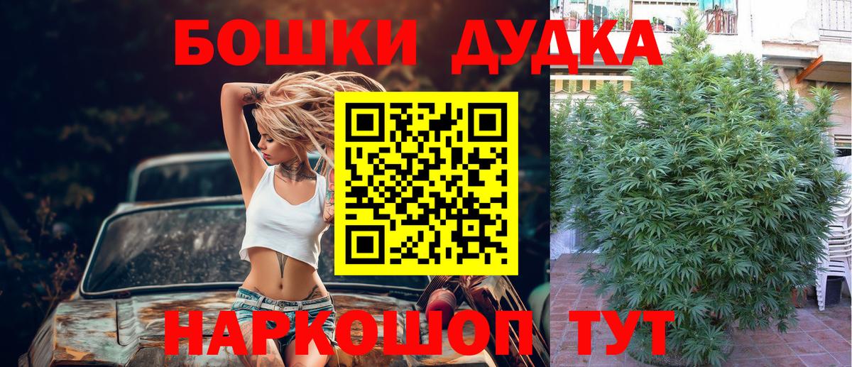 Каннабис сатива Екатеринбург